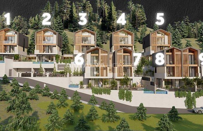 Detached Houses with Sea Views and Pools in Alanya Tepe 2
