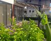 Ready-to-move Sea-view Flats in a Complex with Pool in Alanya 9
