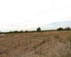 Investment Plot with River View Near Amenities in Antalya Belek 3