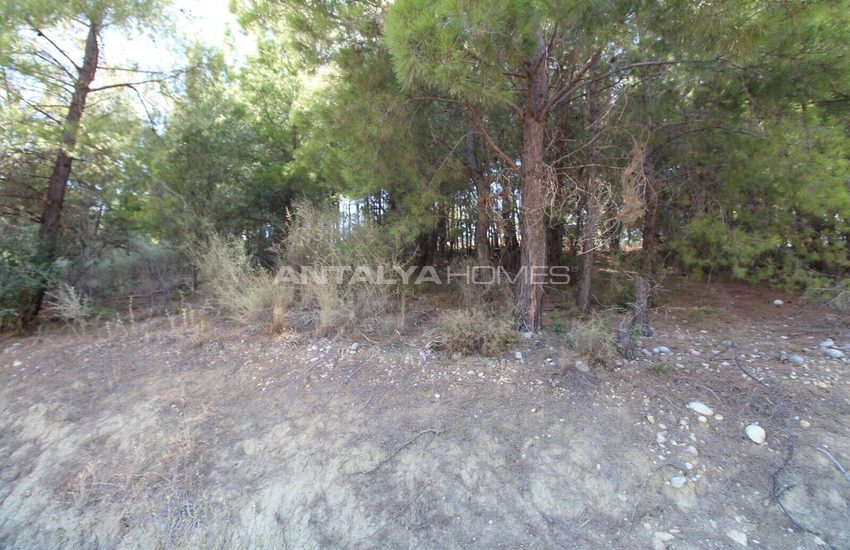 Woonkavel Met Uitzicht Op Het Bos In Antalya Serik 7