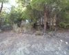 Woonkavel Met Uitzicht Op Het Bos In Antalya Serik 7