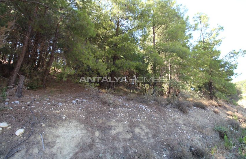 Woonkavel Met Uitzicht Op Het Bos In Antalya Serik 6