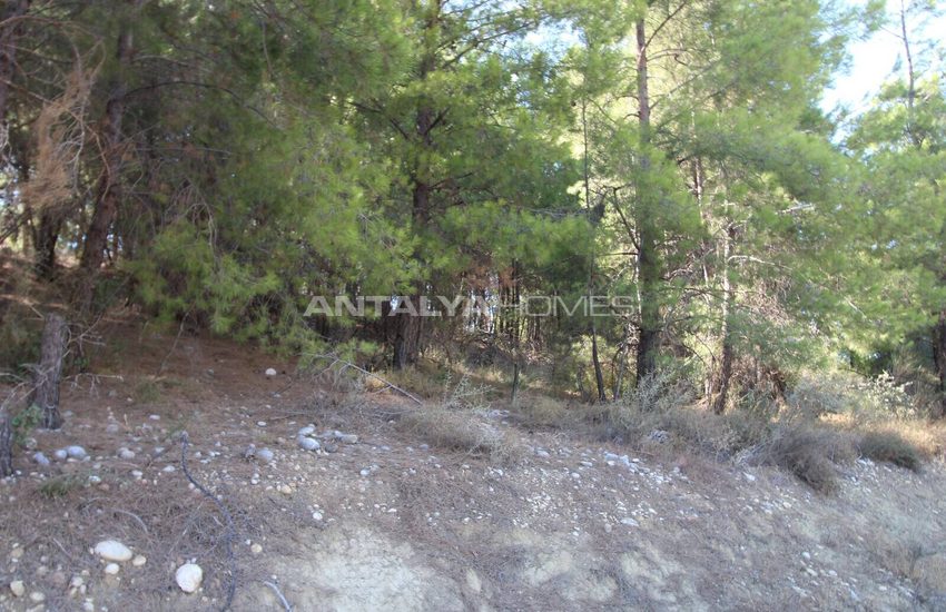 Woonkavel Met Uitzicht Op Het Bos In Antalya Serik 8