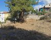 Villa Land with Forest View in Uzumlu Fethiye 2