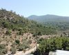 Stylish Villas with Private Pool and Garden in Bodrum 5