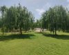 Investment Country House on Prime Land in Fethiye 16