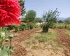 Investment Country House on Prime Land in Fethiye 17