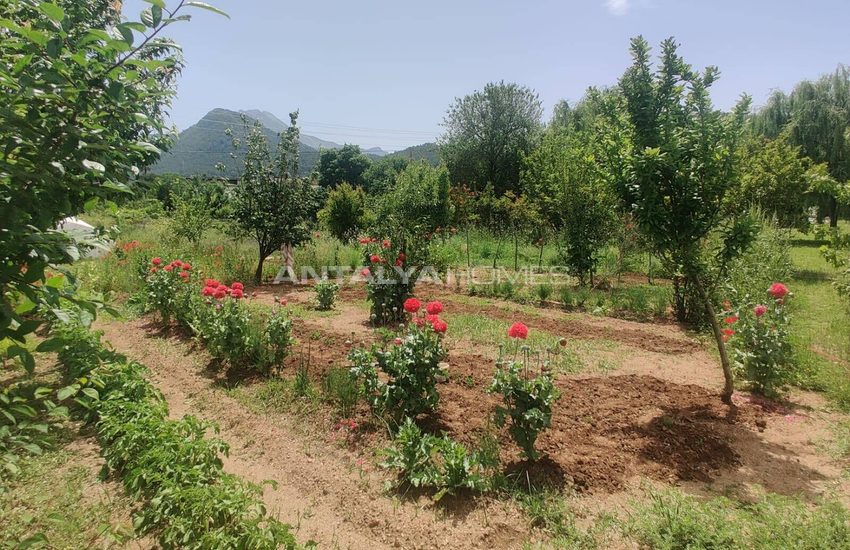 Investment Country House on Prime Land in Fethiye 13