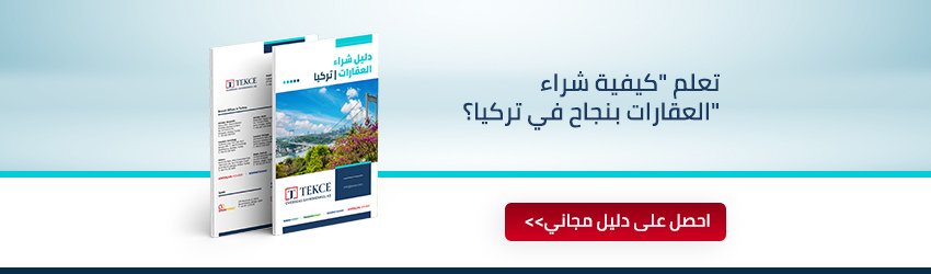 دليل الشراء