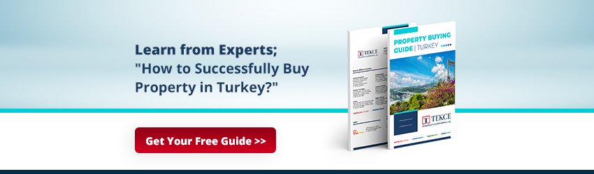 Buying Guide