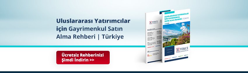 Satın Alma Rehberi