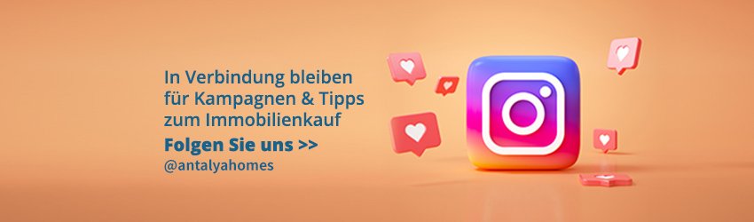 Instagram DE