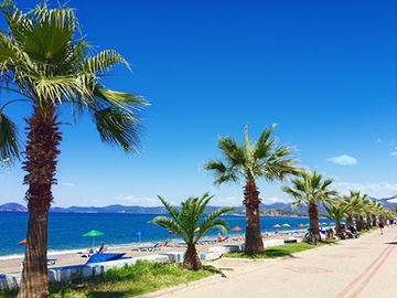 Fethiye is an actual heaven. There are palm trees all over the city.