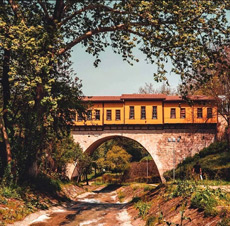 Bursa