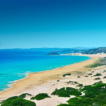 beautiful view of sea at beach and greenery