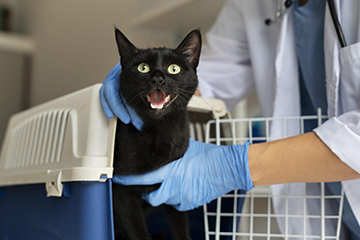microchip system