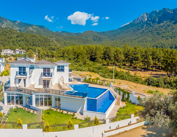 luxury-villa, pool, nature, forest, sky