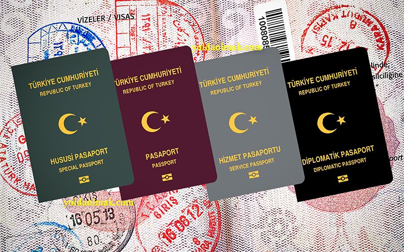 Pasaport Türleri